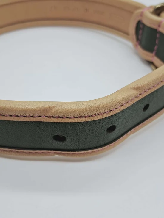 Coach Green and Natural Leather Dog Collar with Brass Medallion - Picture 4 of 9